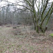 na tropie korallowego bunkra 1